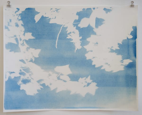 Silke Schatz, Hedera helix, 2023