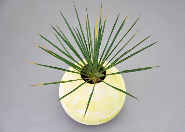 Silke Schatz, Playground, 2021