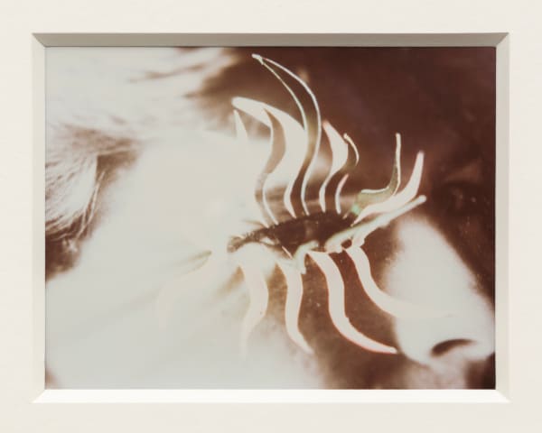 Jimmy DeSana, Untitled (Eyelash), 1985