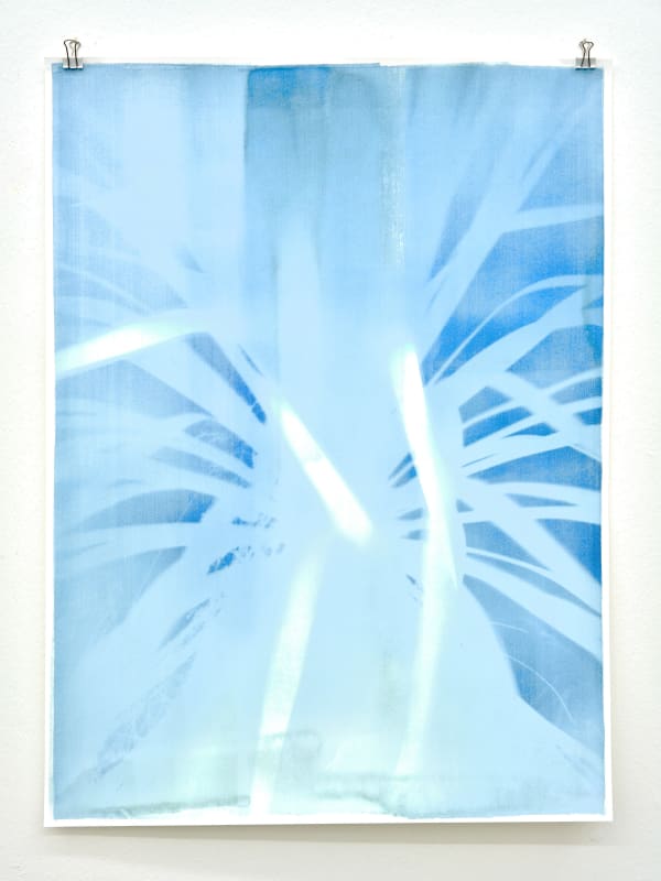 Silke Schatz, Yucca I, 13 th nov. 22, 2022