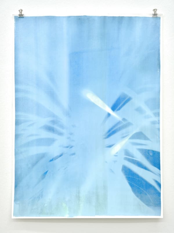 Silke Schatz, Yucca III, 13th nov. 2022, 2022