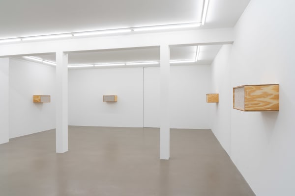 Henrik Håkansson, Untitled (Insect Societies #003 / Judd 1975), 2025