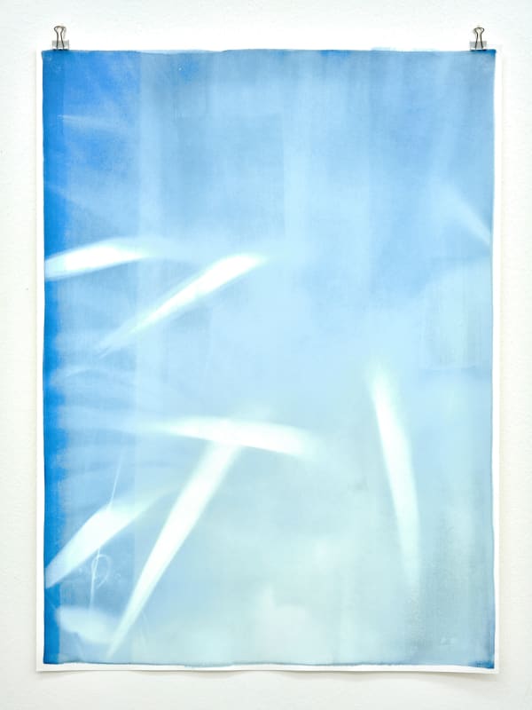 Silke Schatz, Yucca II, 18th okt. 2022, 2022