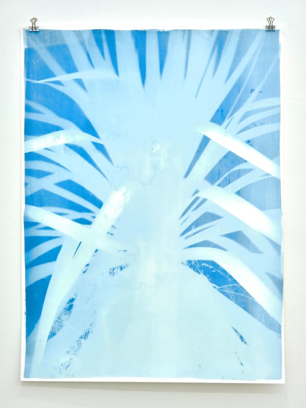 Silke Schatz, Yucca I, 18th oct. 2022, 2022
