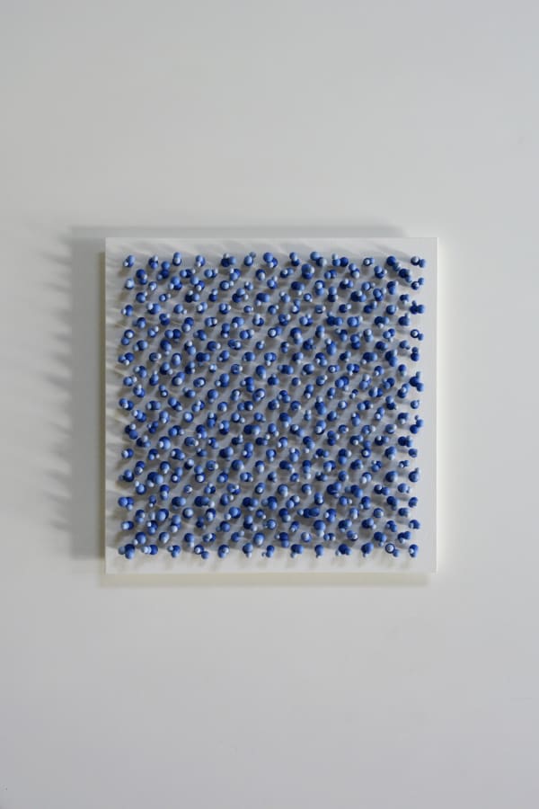 Jonne Stout, 1st Polymetrie, 2023