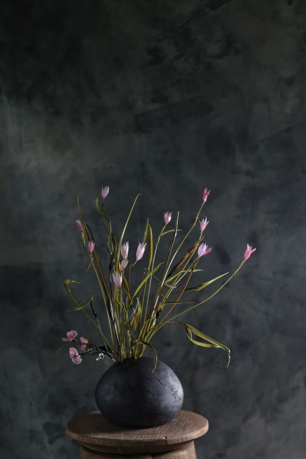 Anastasia Pribelskaya, Campanula, 2025