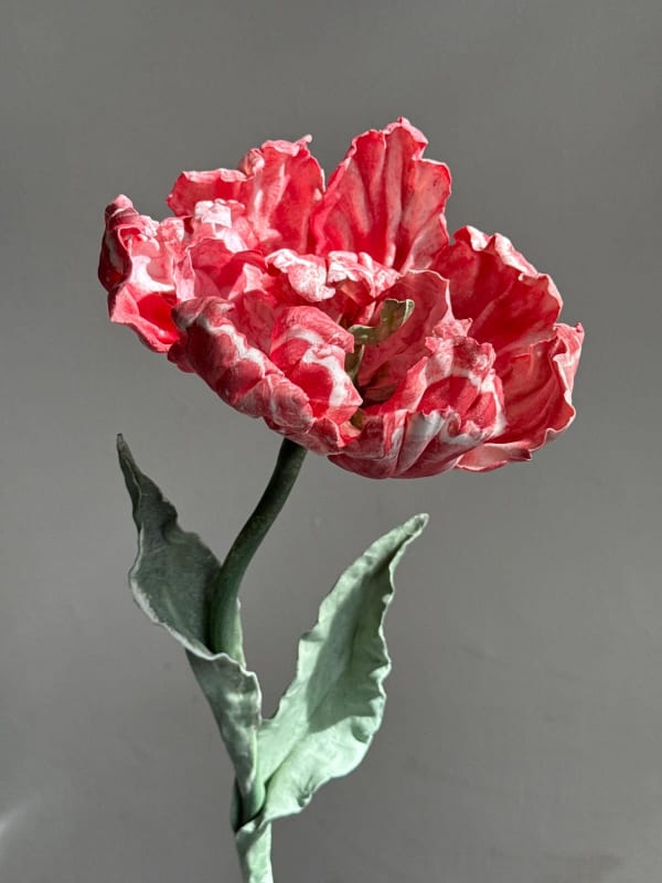 Anna Volkova, Red Tulip