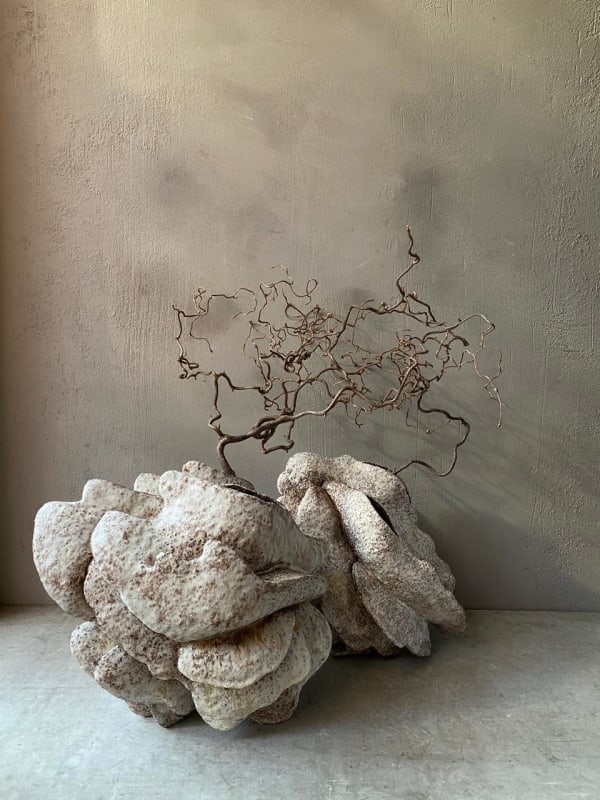 Olesya and Andriy Voznicki, Following the Wind, 2024