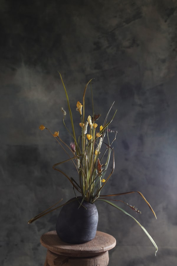 Anastasia Pribelskaya, Ranunculus repens, 2025