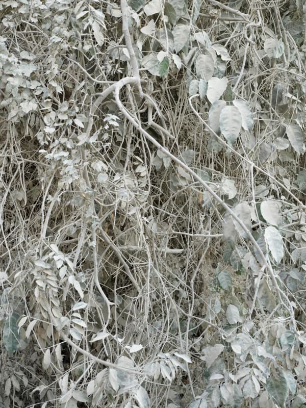 Costa Rica, No. 0381