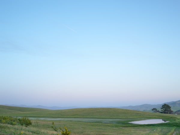 Coastal Range, No. 8900