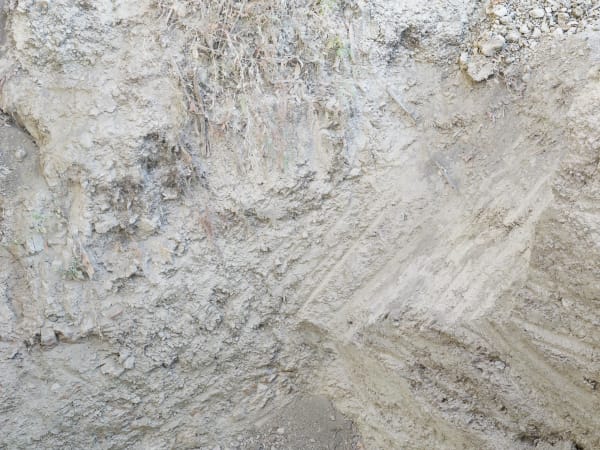 Miles to Go 0019, 2019