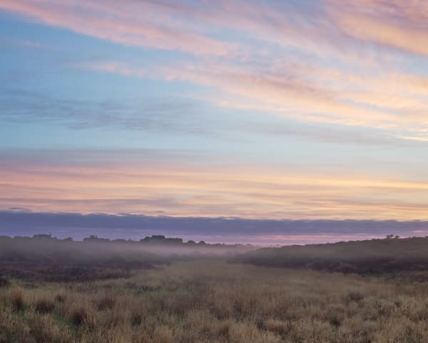 Madequecham Mist, 2019