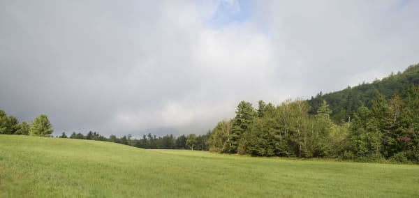 Upper Jay, No. 11539