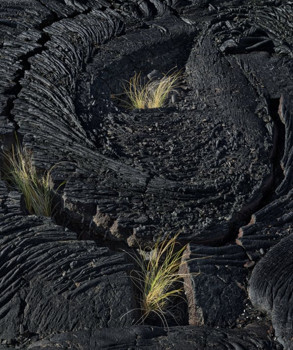 Lava Study 19275
