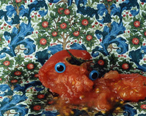 Yumiko Utsu, Tomato Collapse 3 (Quadriptic), 2005