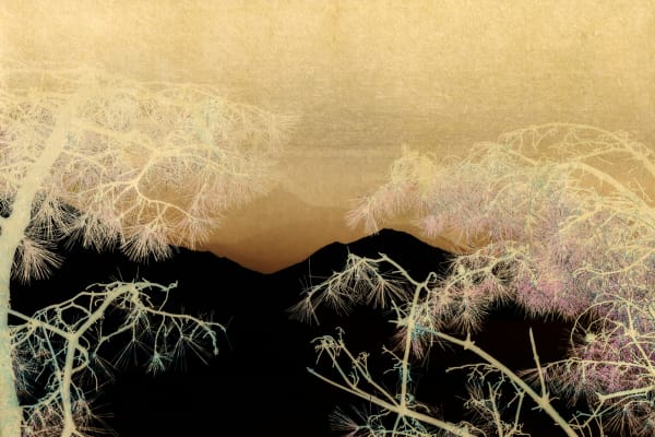 Albarrán Cabrera, Nyx #60126, 2019