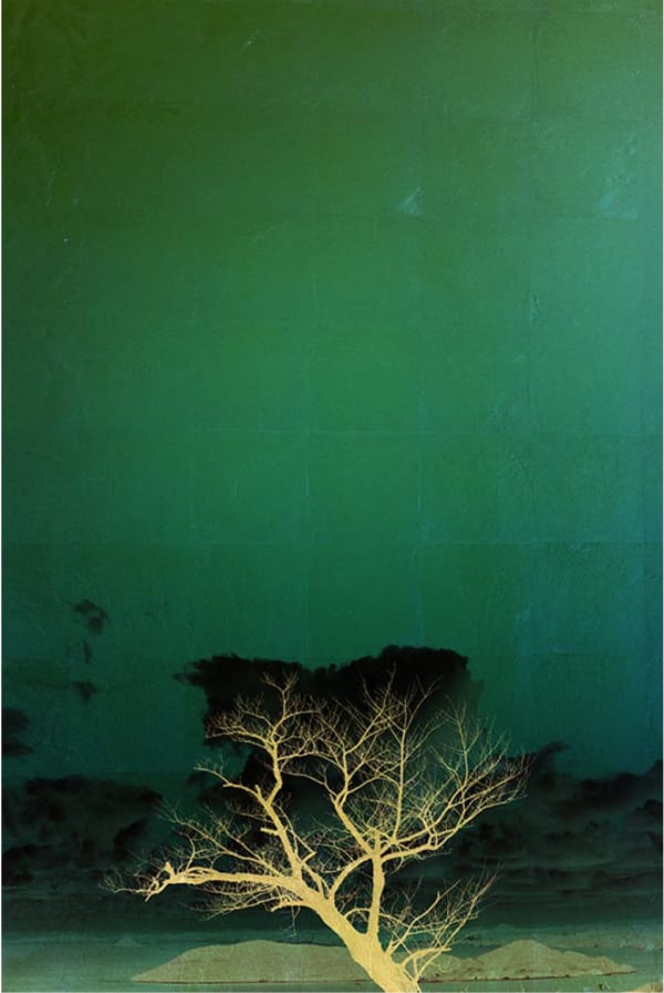 Albarrán Cabrera, The Indestructible #70012, 2016