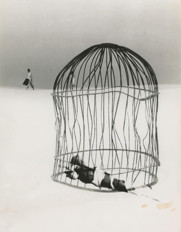 Kansuke Yamamoto, I’d Like to Think While Inside the Body of a Horse, 1964