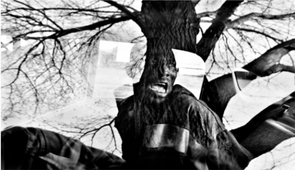 Paolo Pellegrin, A man arrested by the police after attacking his father. Rochester, New York, USA, 2013