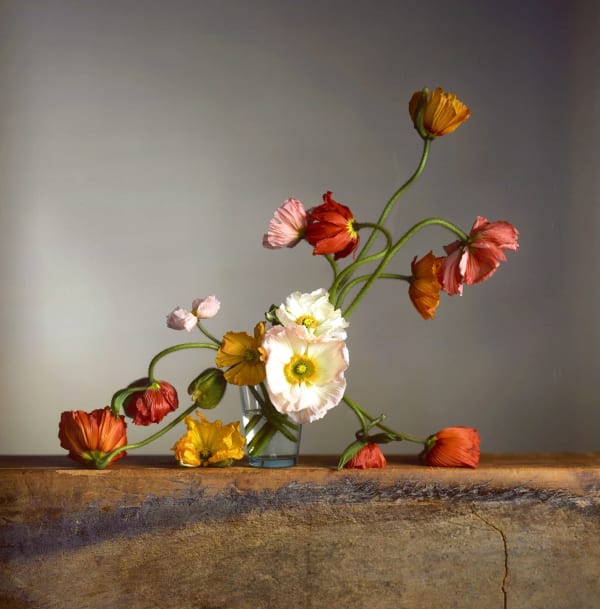 Richard Learoyd, Untitled (Poppies) , 2023