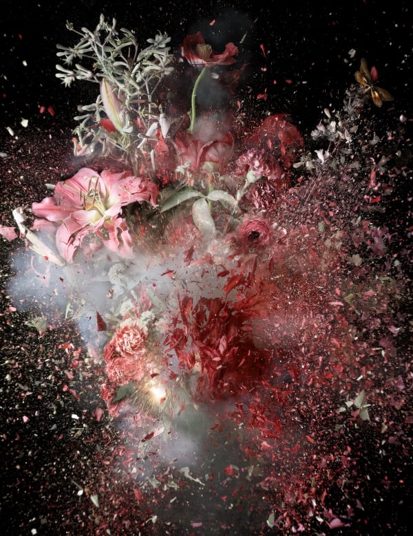 Ori Gersht, Fields and Vision 3, 2022
