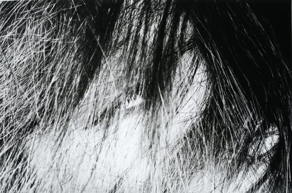 Akira Sato, Untitled, from Cyclopean Eye, 1960s