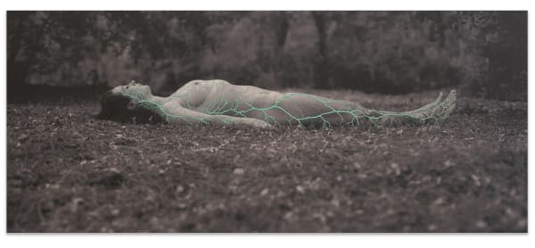 Juana Gómez, Symbiotic Mutualism, 2019