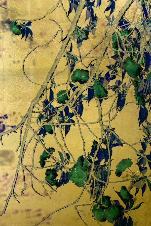 Albarrán Cabrera, The Indestructible, #70024, 2018