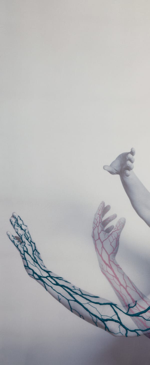 Juana Gómez, Trace of REM, 2018