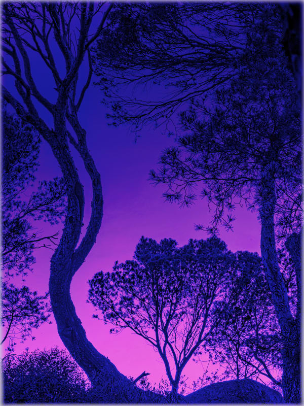 Albarrán Cabrera, The Indestructible PPG #34128, 2022