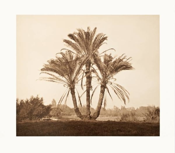 David Parker, Luxor, Egypt 1992