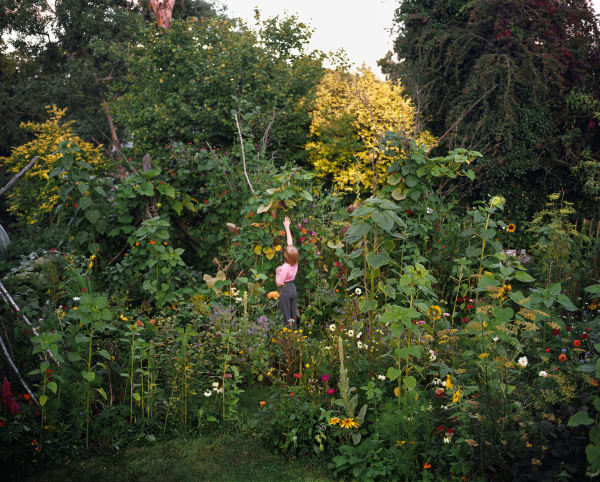 Siân Davey, The Garden XLIII, 2023