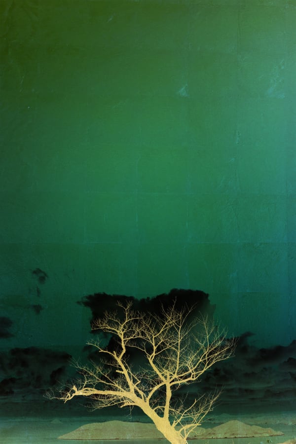 Albarrán Cabrera, The Indestructible #70012, 2016