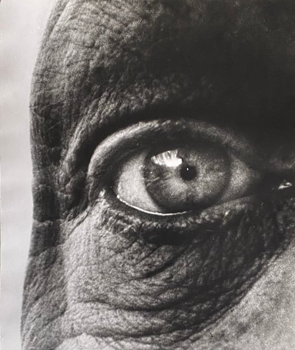 Bill Brandt, Jean Dubuffet's right eye, 1962