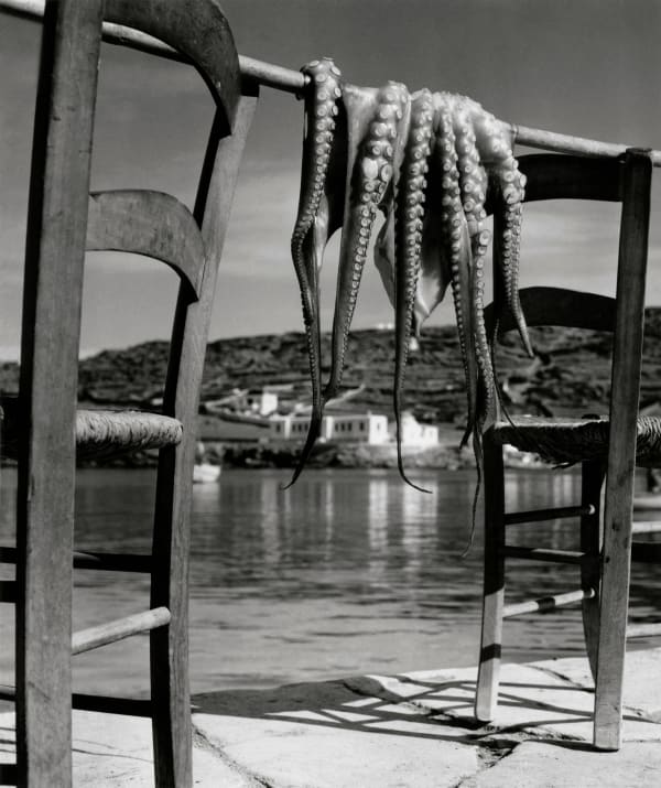 Herbert List, Octopus, Corfu, Greece, 1938