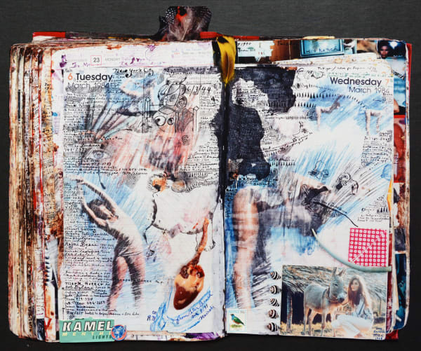 Peter Beard, Diary Page