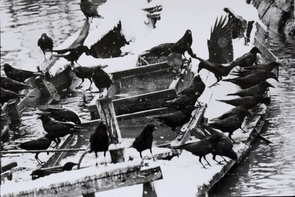 Masahisa Fukase, Otaru, from the Solitude of Ravens, 1975
