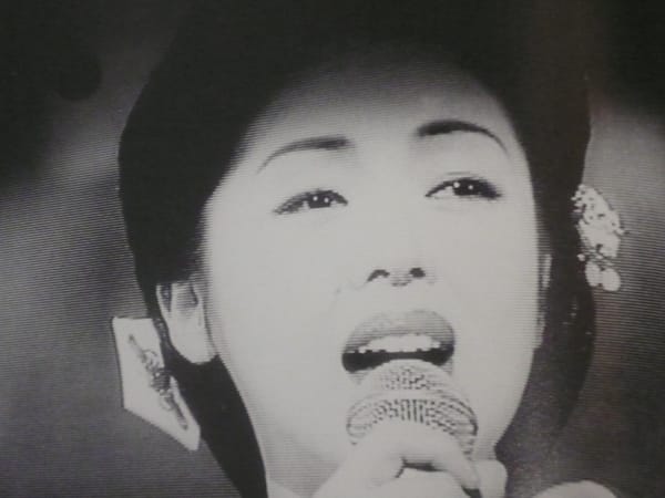 Nobuyoshi Araki, Grand Diary of a Photo Maniac, 1996