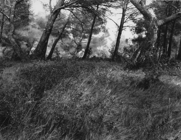 Louis Stettner, Alpilles, France, c. 2013-16