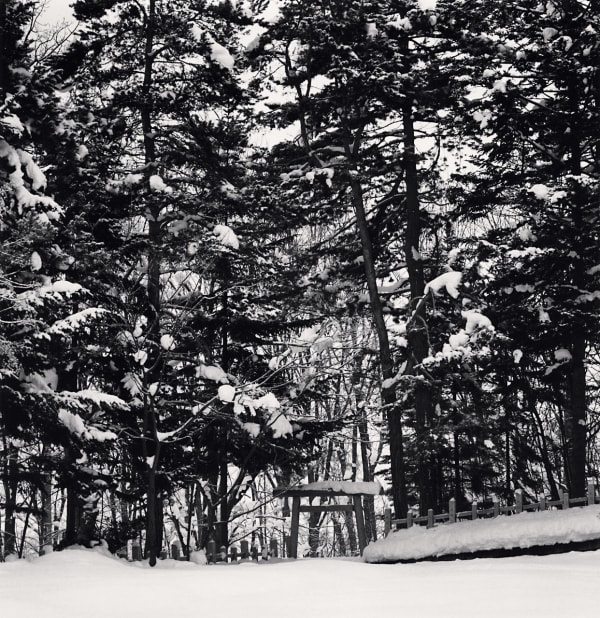 Michael Kenna, Kamikawa Shrine Torii, Asahikawa, Hokkaido, Japan, 2023