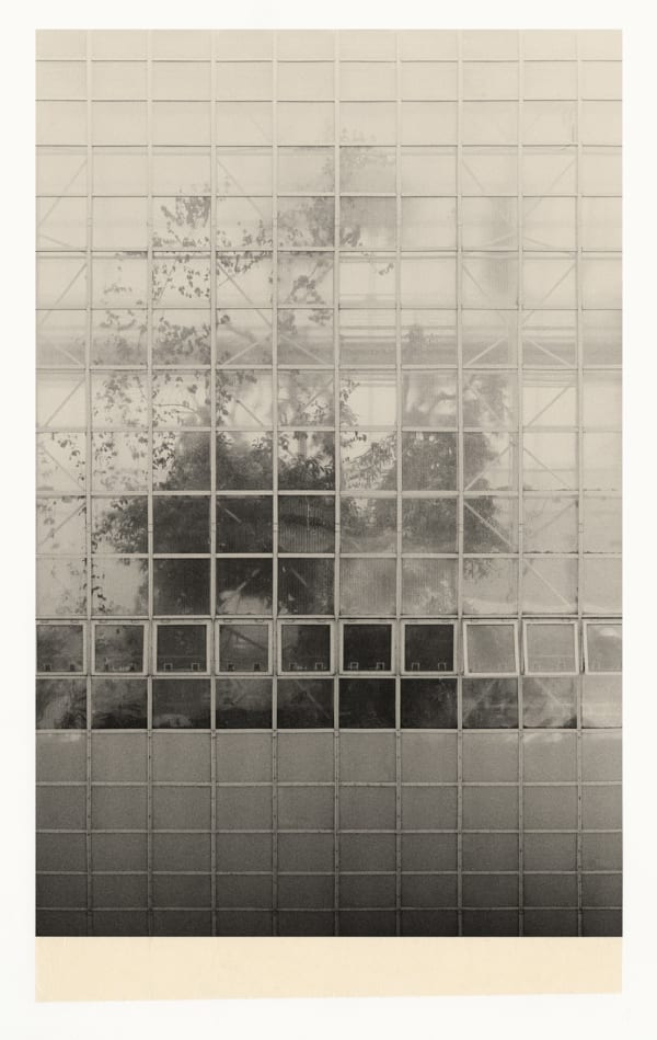 Wesley Stringer, Desire Path: Petals, Fins and Feathers #066, 2021
