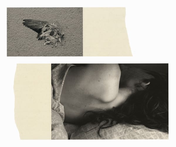 Wesley Stringer, Desire Path: Petals, Fins and Feathers #015ab, 2020