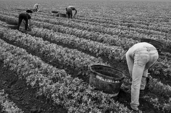 Richard Sharum, Migrant Labourers, Edinburg, Texas, 2022
