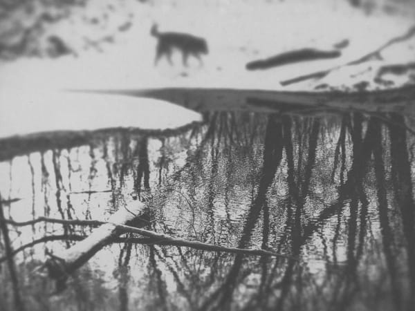 Chico Seay, Andra, Creekside, 2023