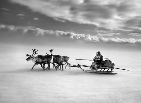 Sebastião Salgado, Nenets, Yamal Peninsula, Siberia, Russia, 2011
