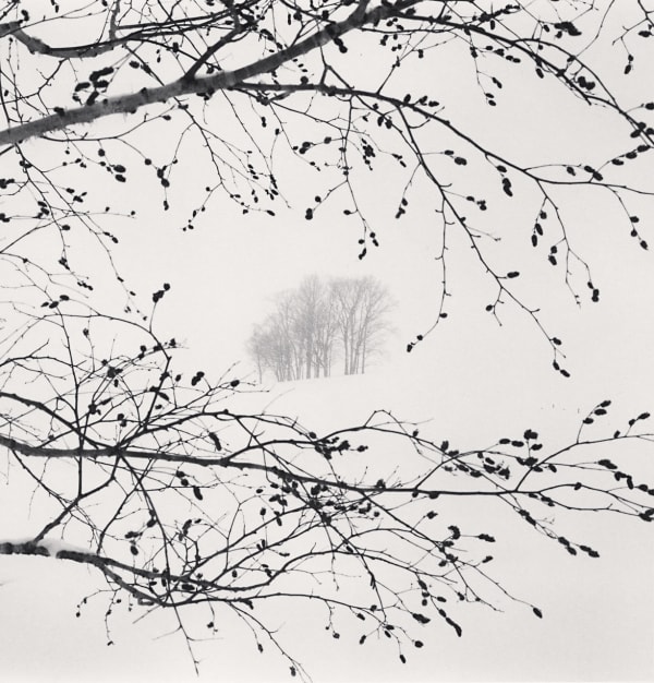 Michael Kenna, Distant Trees, Sorachi, Hokkaido, Japan, 2023