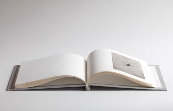 Wesley Stringer, Silver, Without Silver Monograph, 2020