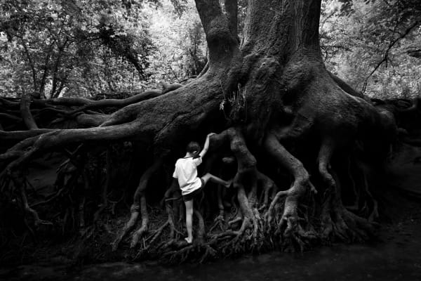 Mathieu Chaze, Roots, 2020