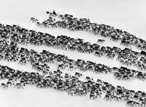 Sebastião Salgado, Nenets, Yamal Peninsula, Siberia, Russia, 2011
